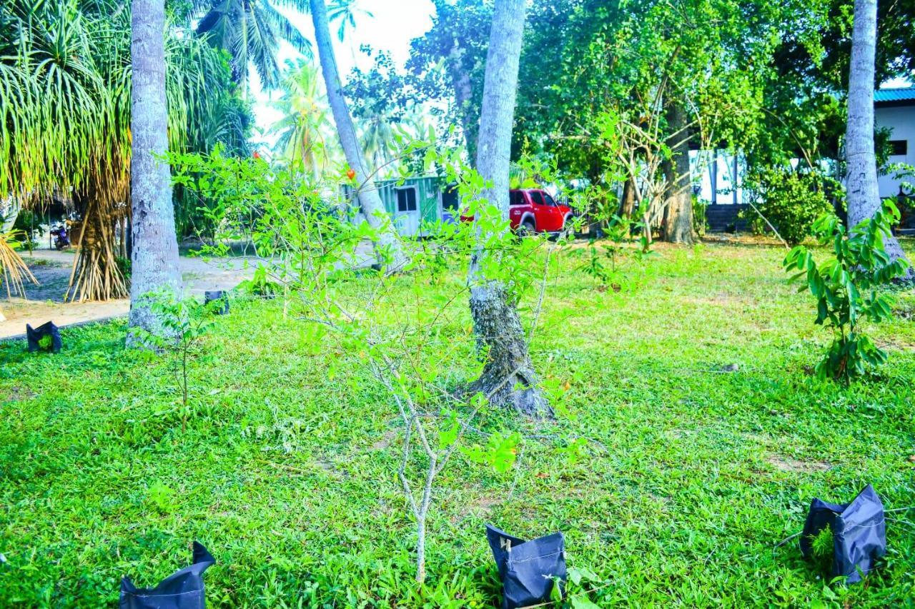 Helios Beach Resort Tangalle Exteriér fotografie