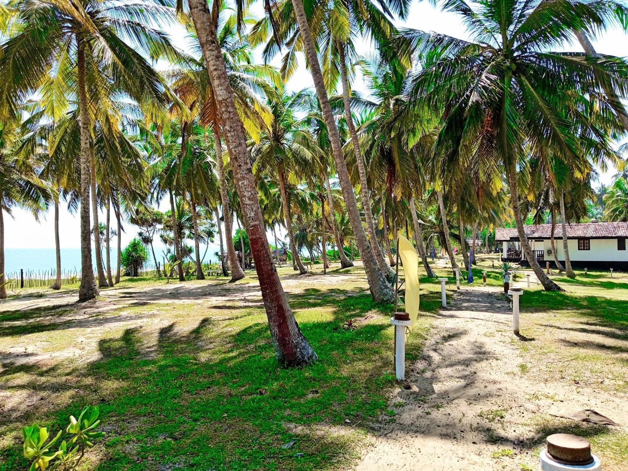 Helios Beach Resort Tangalle Exteriér fotografie