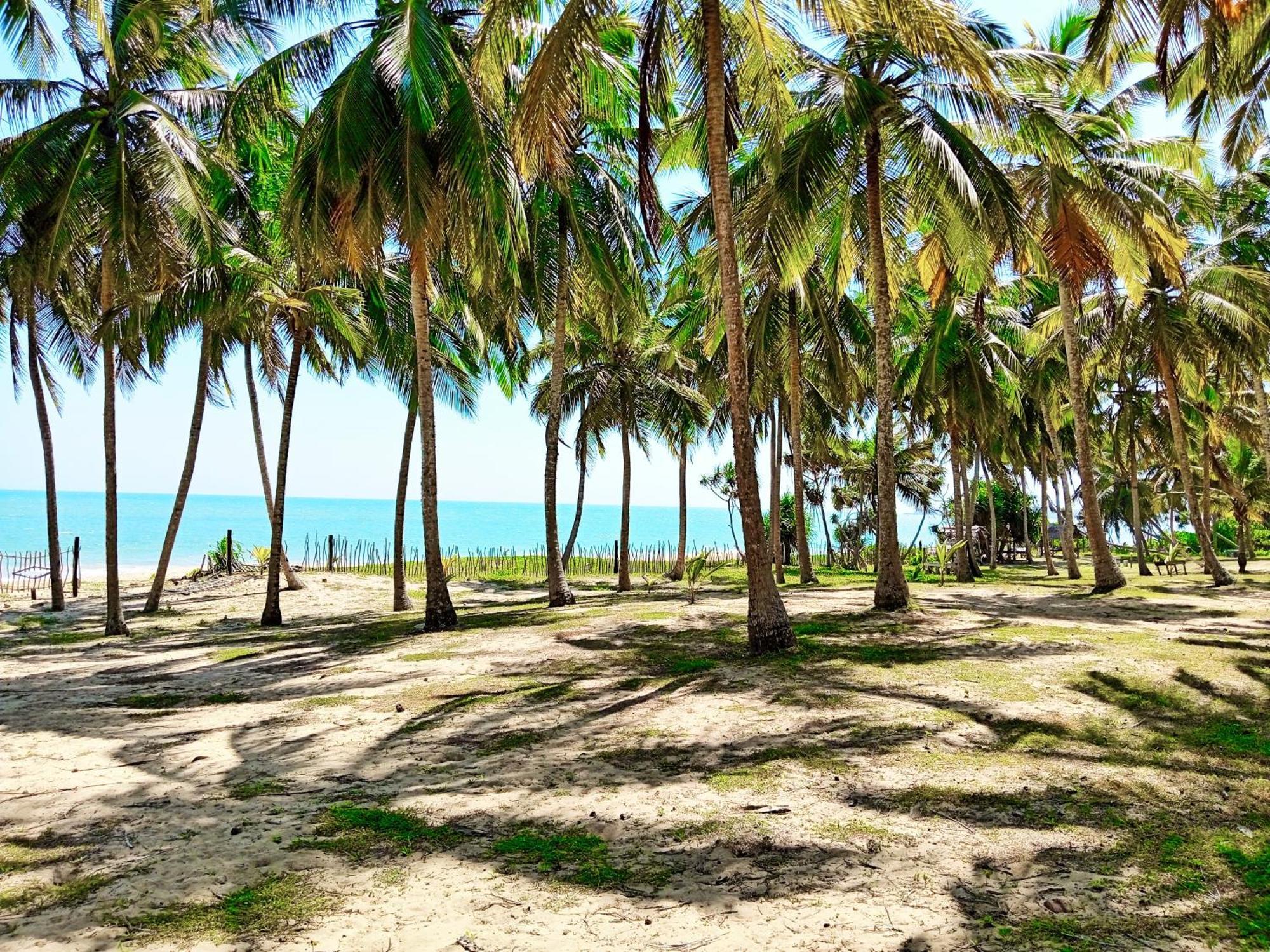 Helios Beach Resort Tangalle Exteriér fotografie